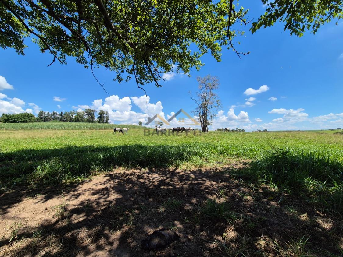 Sítio à venda, 66000m² - Foto 16