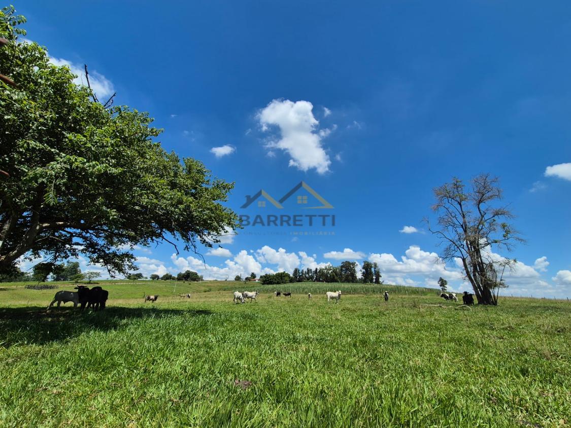 Sítio à venda, 66000m² - Foto 10