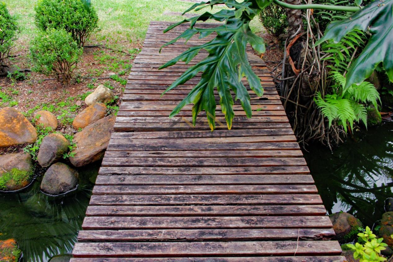 Chácara, 6 quartos, 1012 m² - Foto 4