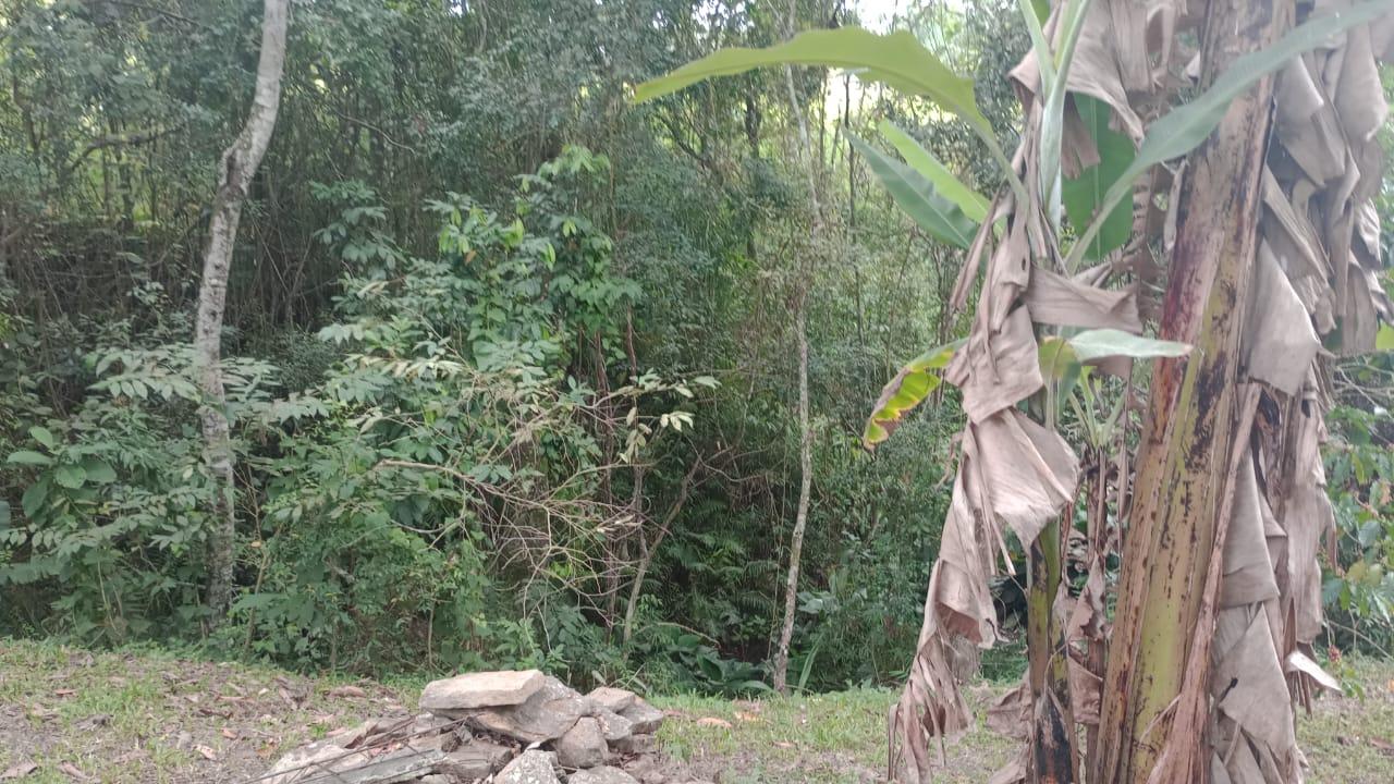 Chácara à venda, 10400m² - Foto 28