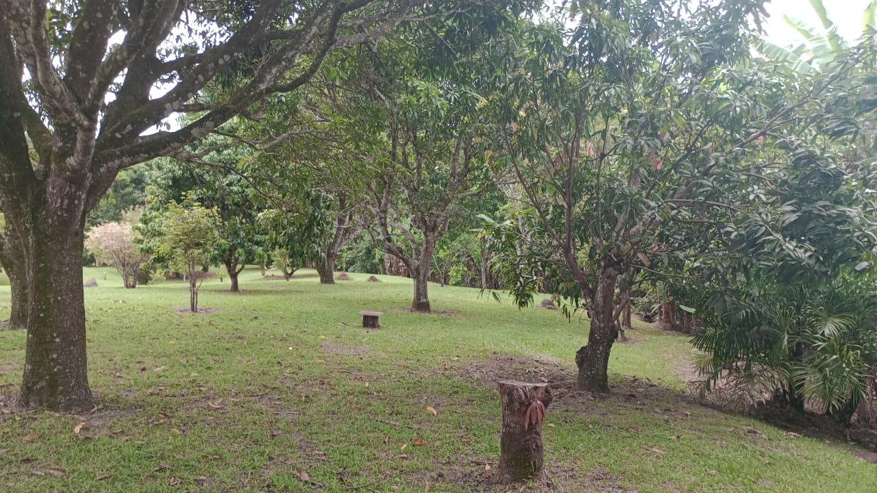 Chácara à venda, 10400m² - Foto 29