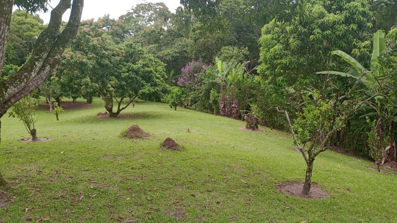 Chácara à venda, 10400m² - Foto 30