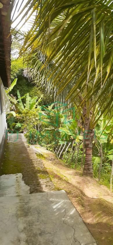 Casa, 3 quartos, 120 m² - Foto 13