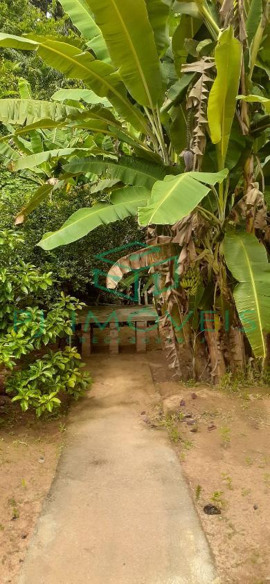 Casa, 3 quartos, 120 m² - Foto 17