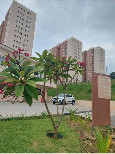 Apartamento à venda com 2 quartos, 55m² - Foto 13