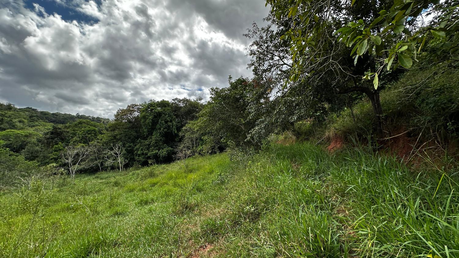 Terreno de aproximadamente 47 hectares no Periquito MG