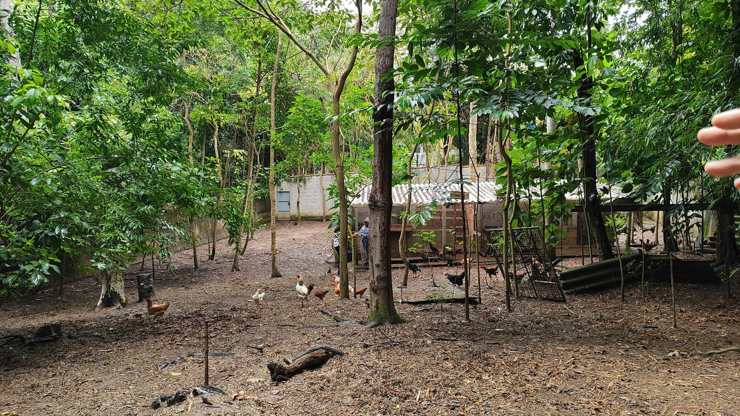 Chácara à venda, 2550m² - Foto 4
