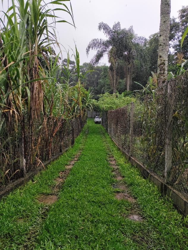 Chácara à venda, 2550m² - Foto 18