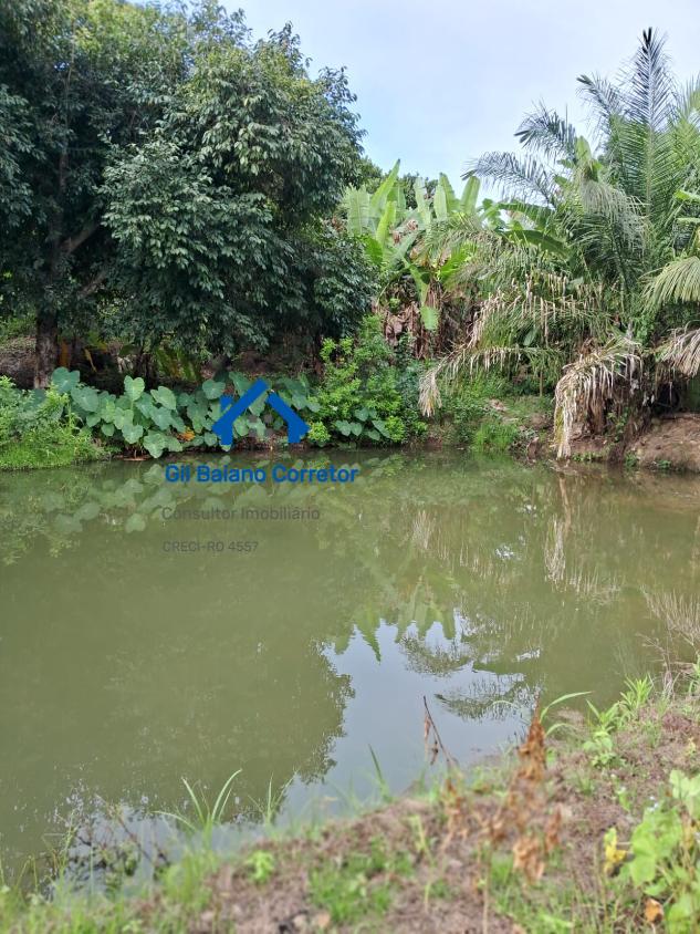 Chácara à venda com 2 quartos - Foto 1