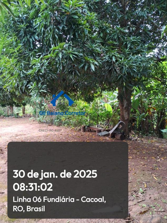 Chácara à venda com 2 quartos - Foto 8