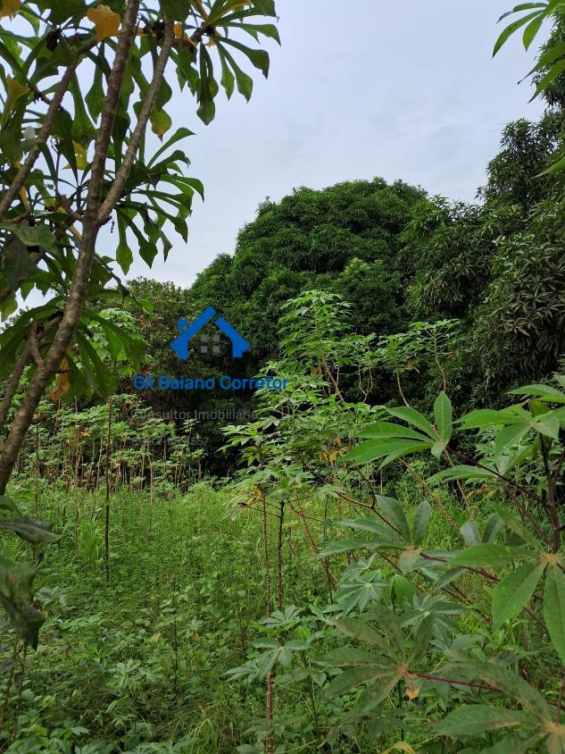 Chácara à venda com 2 quartos - Foto 7