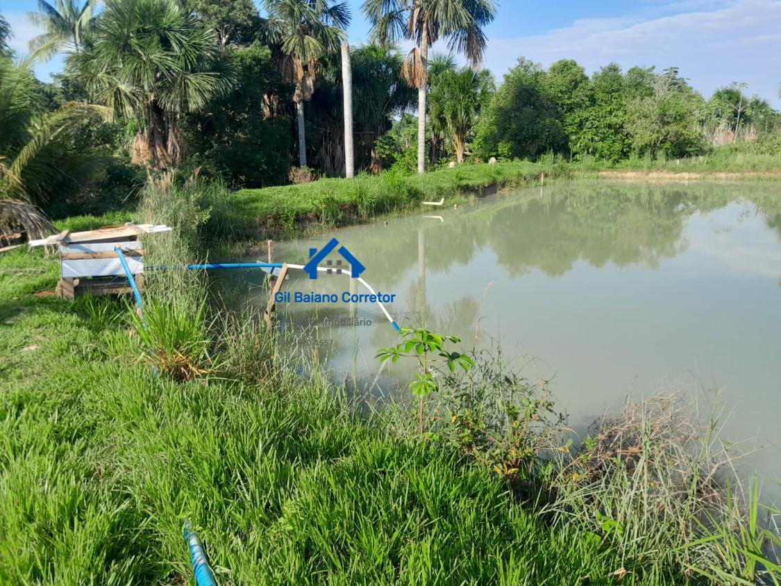 Chácara à venda com 2 quartos - Foto 4