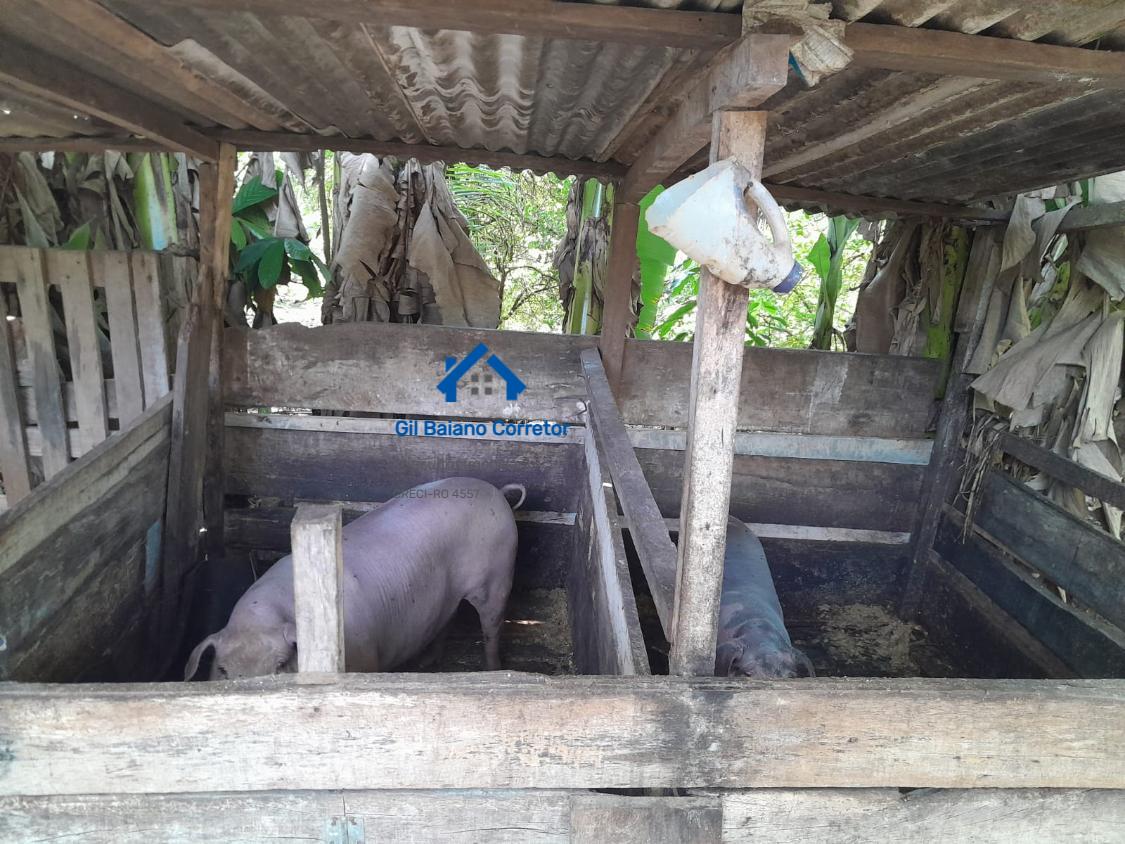 Chácara à venda com 2 quartos - Foto 5