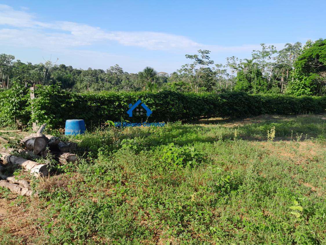 Chácara à venda com 2 quartos - Foto 6