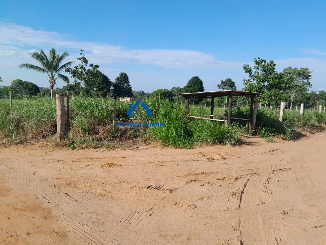 Chácara à venda com 2 quartos - Foto 8