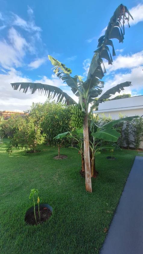 Casa de Condomínio à venda com 3 quartos, 296m² - Foto 25