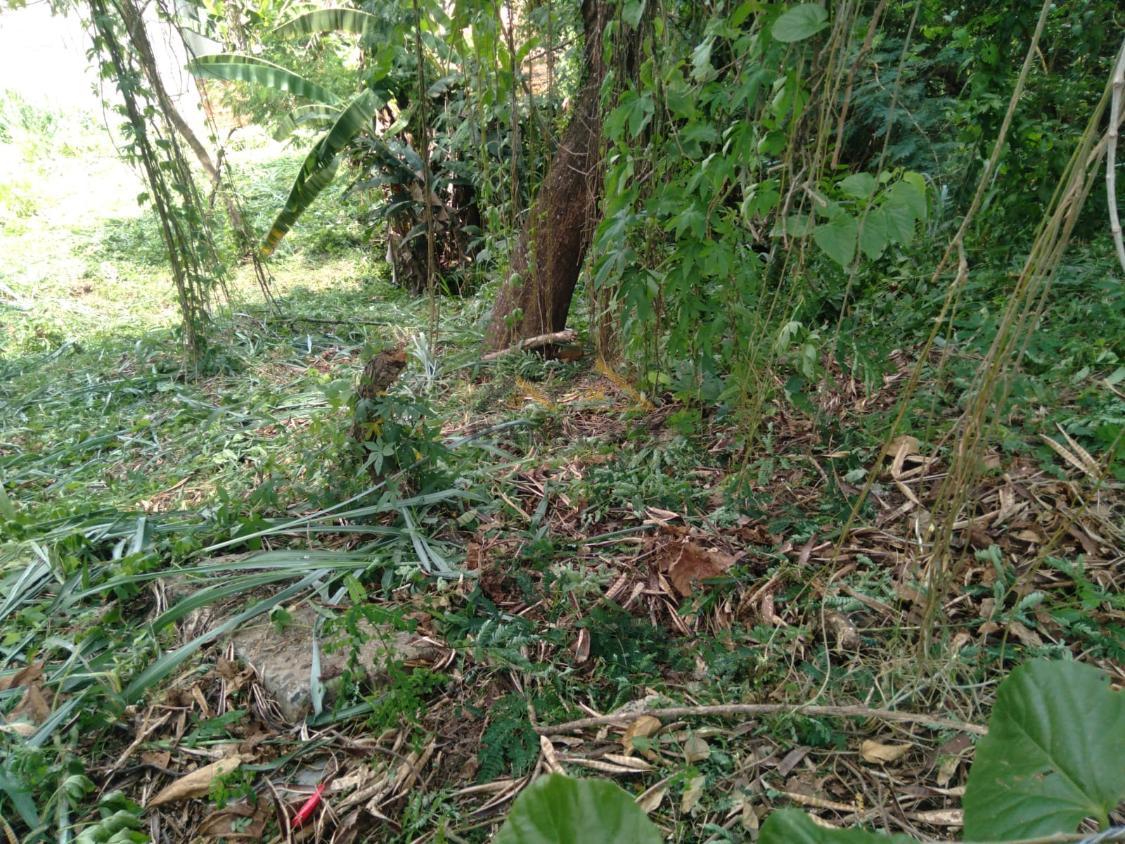 Terreno à venda, 426m² - Foto 2