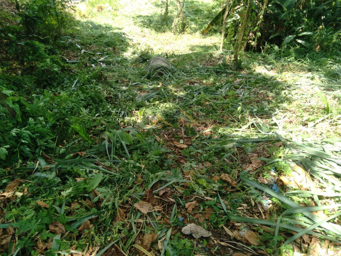 Terreno à venda, 426m² - Foto 8