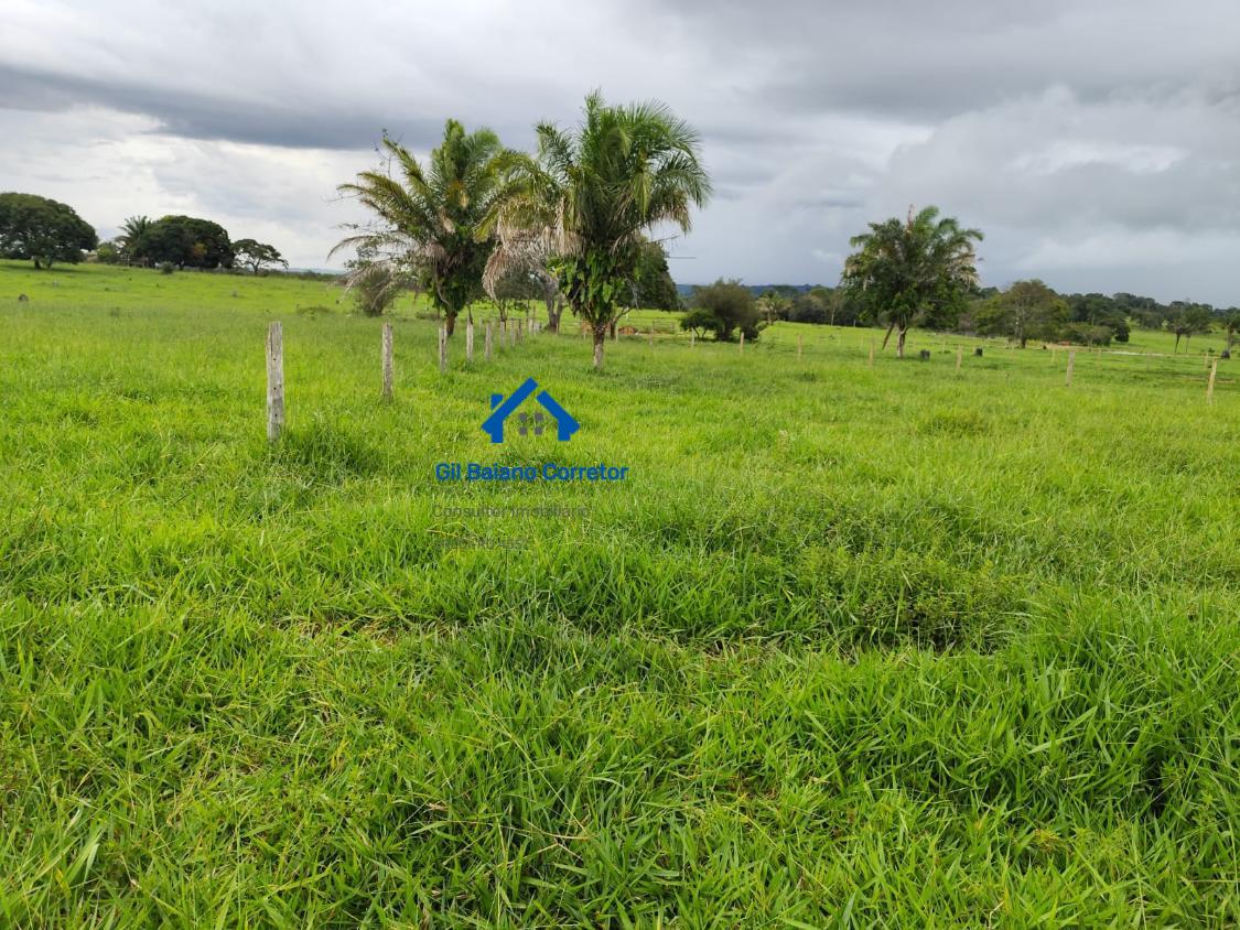 Fazenda à venda com 2 quartos - Foto 3