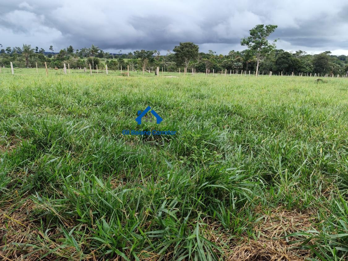 Fazenda à venda com 2 quartos - Foto 7