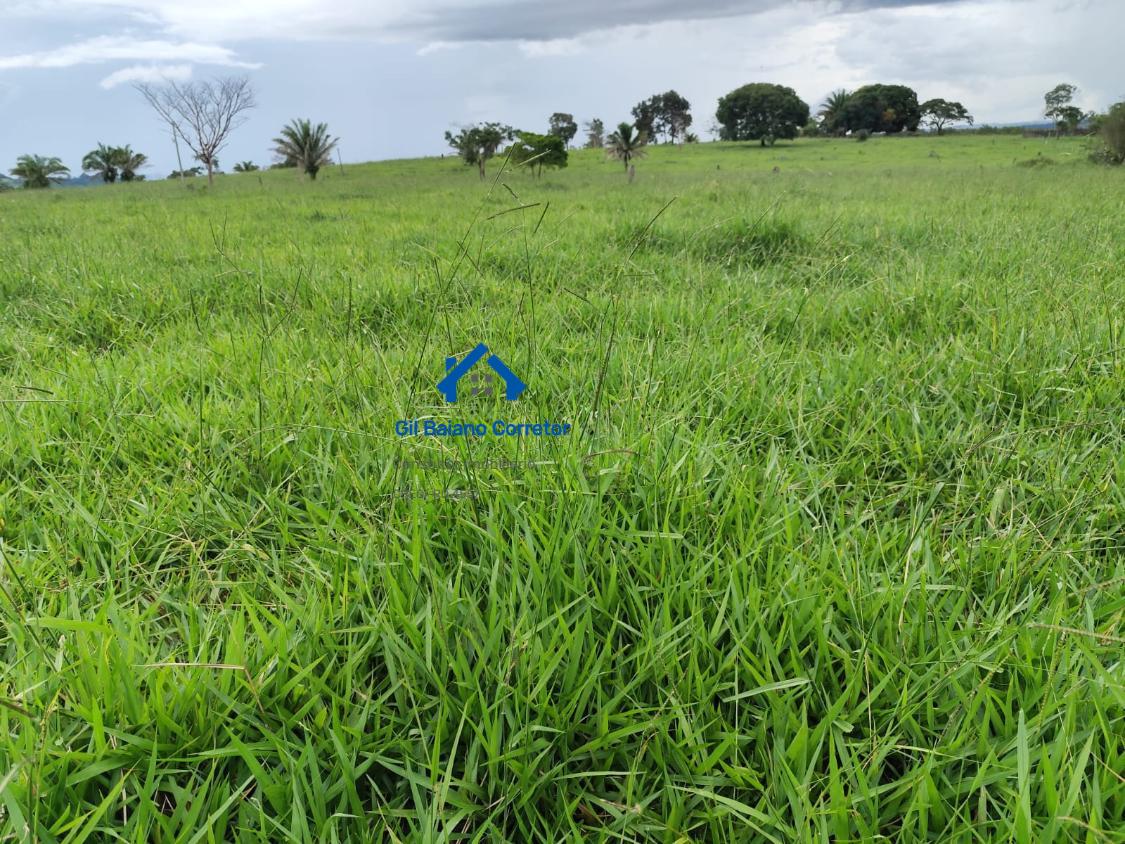 Fazenda à venda com 2 quartos - Foto 2