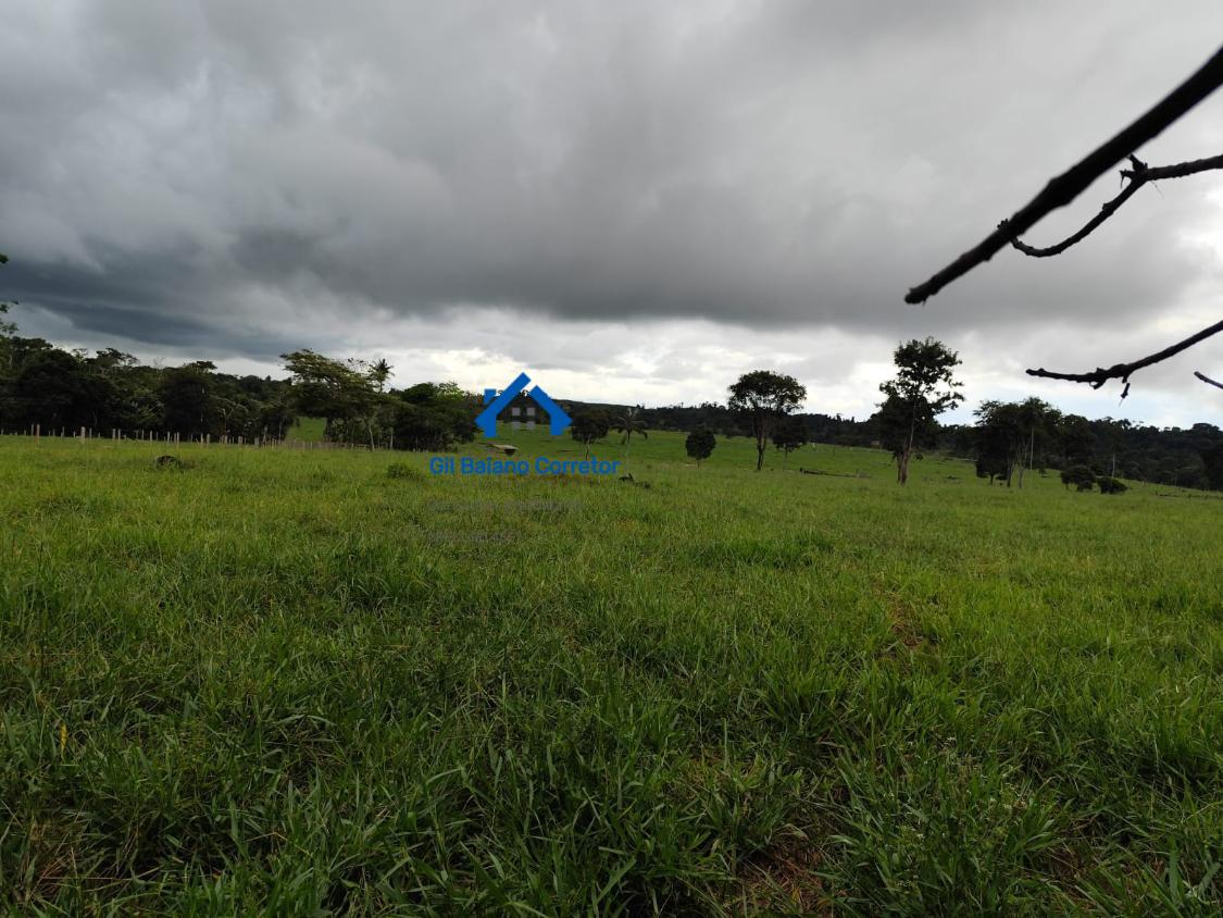 Fazenda à venda com 2 quartos - Foto 6