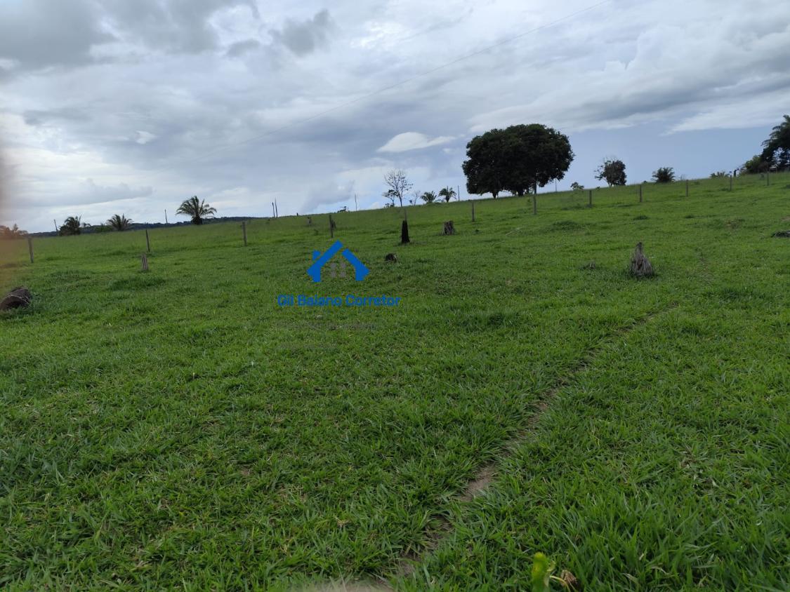 Fazenda à venda com 2 quartos - Foto 10