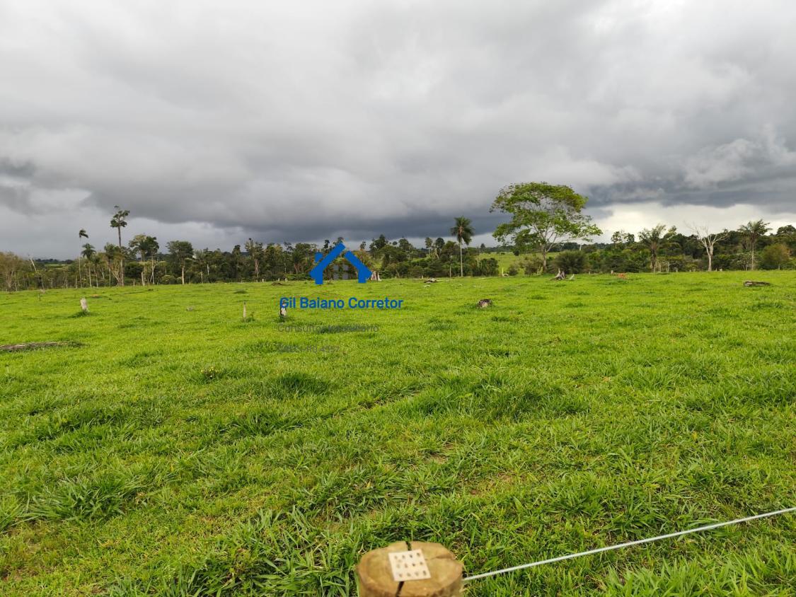 Fazenda à venda com 2 quartos - Foto 5