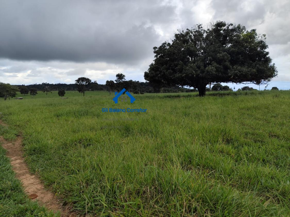 Fazenda à venda com 2 quartos - Foto 8