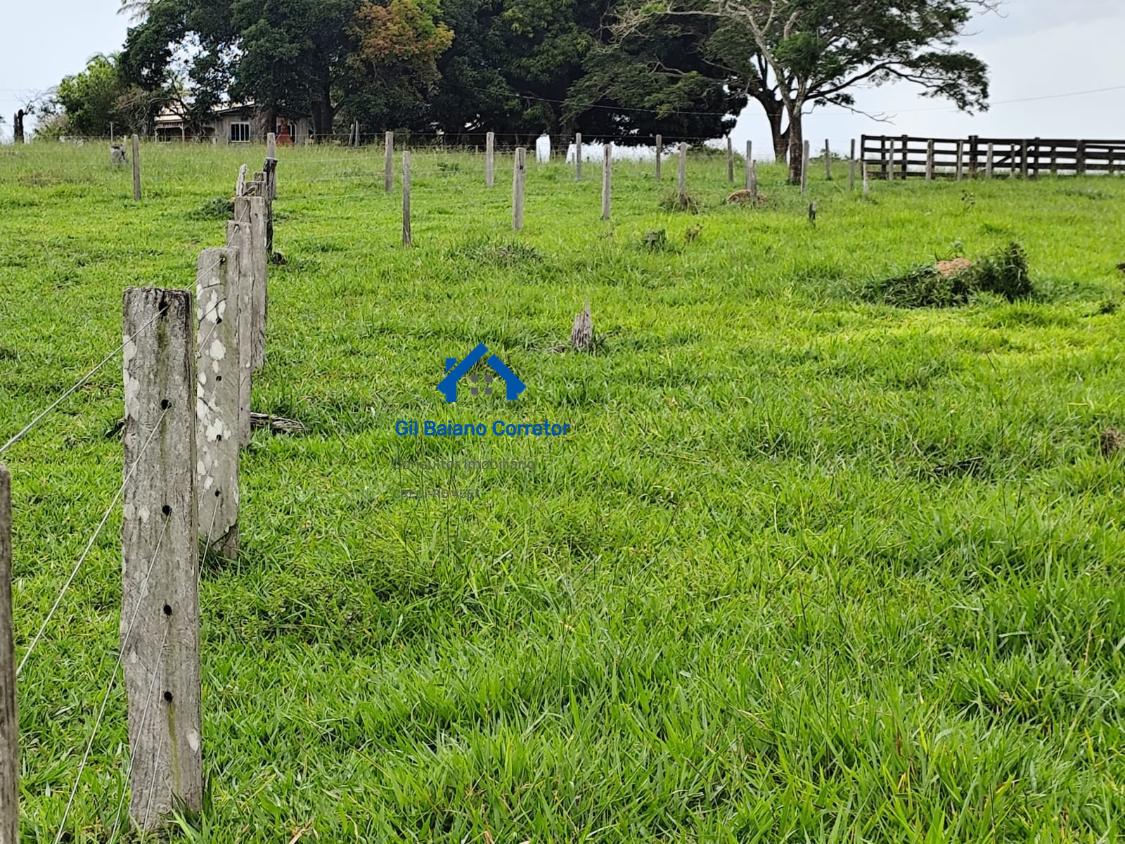 Fazenda à venda com 2 quartos - Foto 9