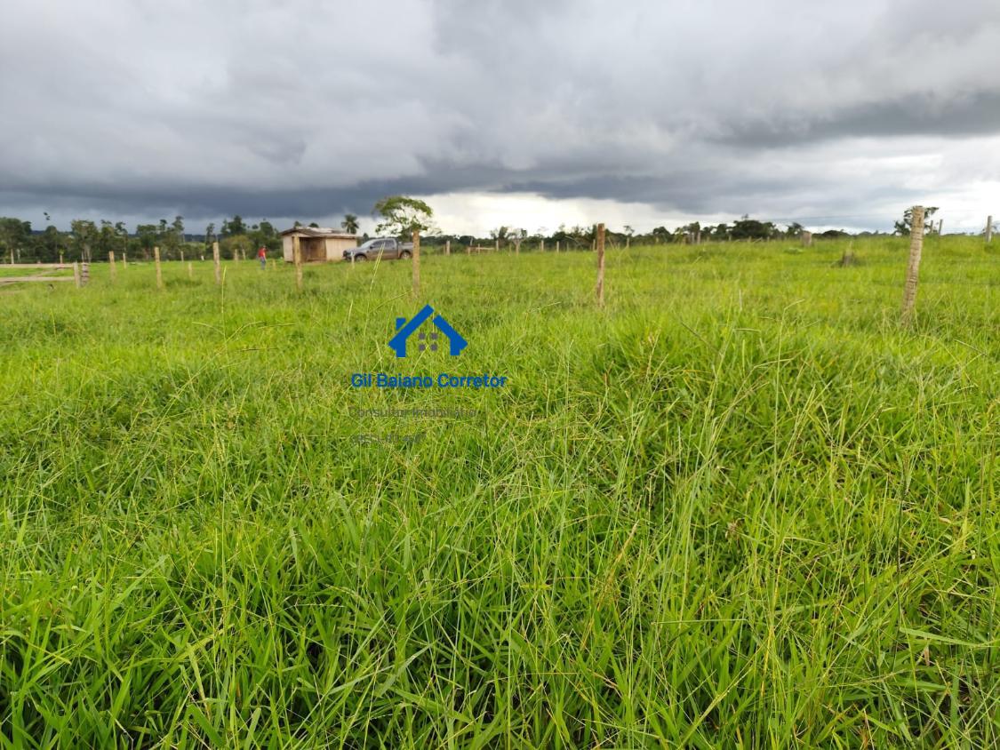 Fazenda à venda com 2 quartos - Foto 4