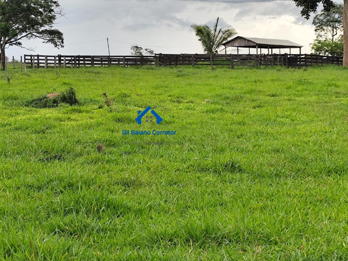Fazenda à venda com 2 quartos - Foto 11