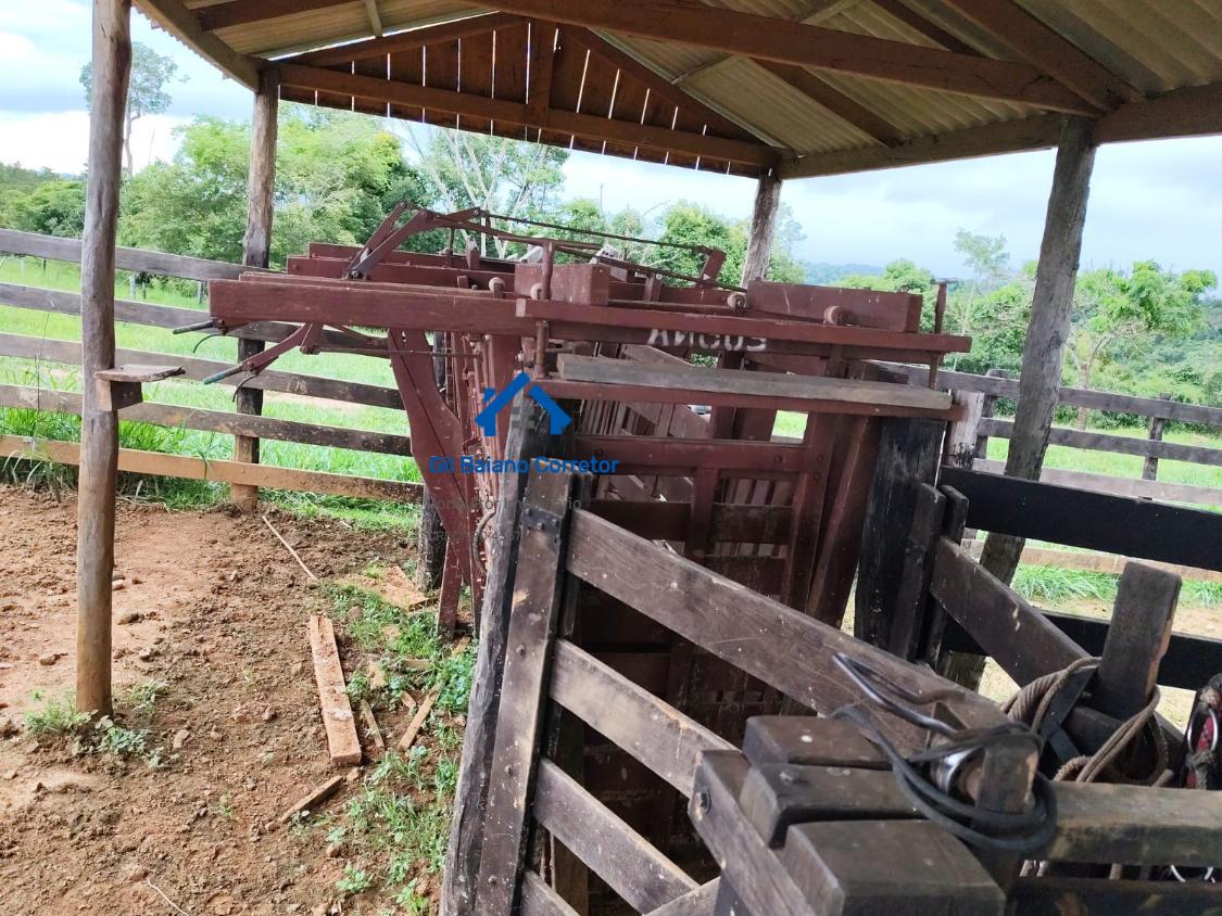 Fazenda à venda com 2 quartos - Foto 17