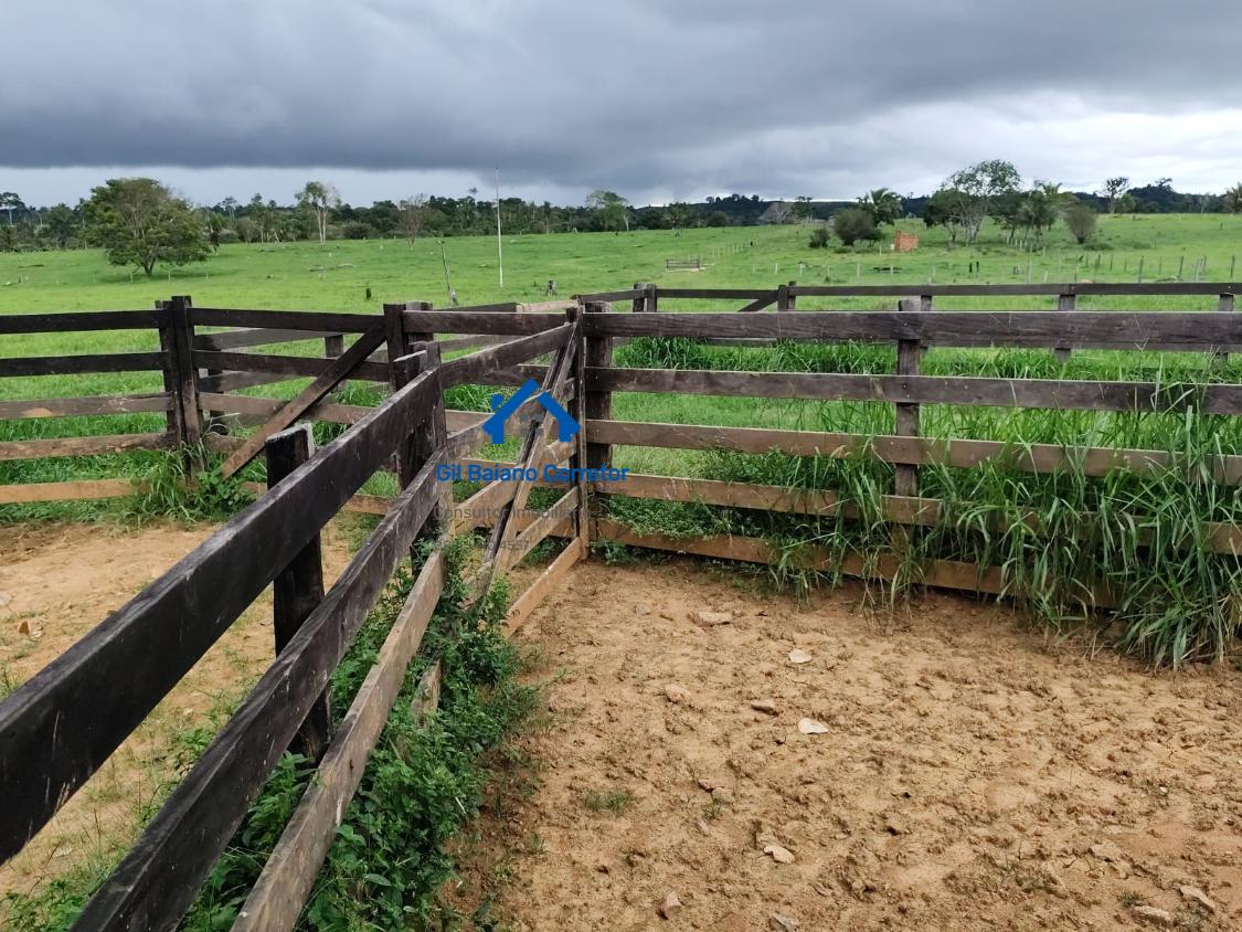 Fazenda à venda com 2 quartos - Foto 15