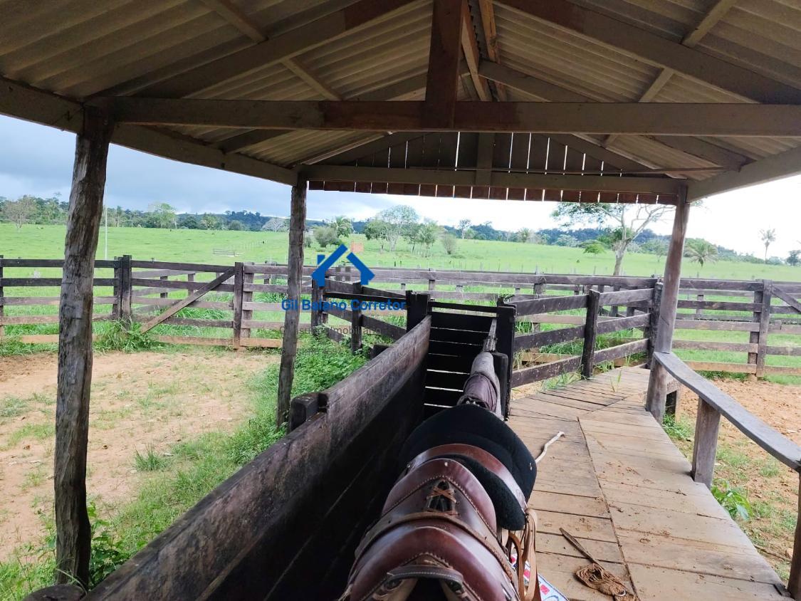 Fazenda à venda com 2 quartos - Foto 16