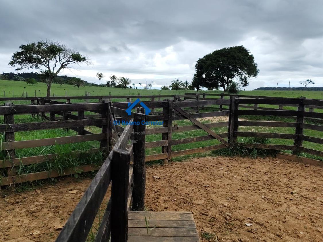 Fazenda à venda com 2 quartos - Foto 19
