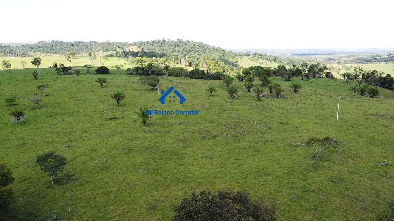 Fazenda à venda com 2 quartos - Foto 22
