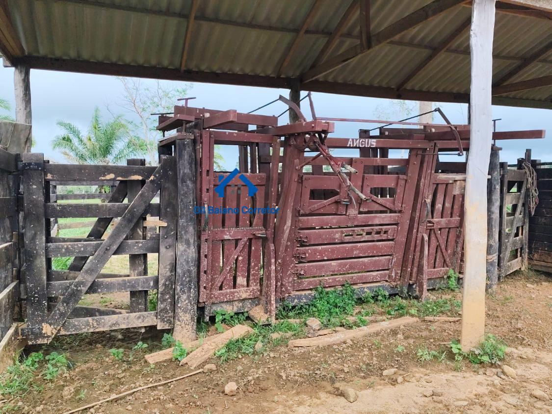 Fazenda à venda com 2 quartos - Foto 13