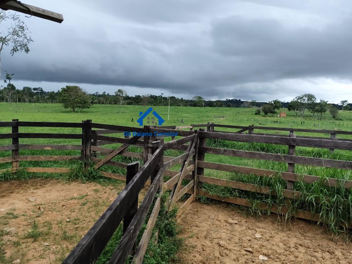 Fazenda à venda com 2 quartos - Foto 18