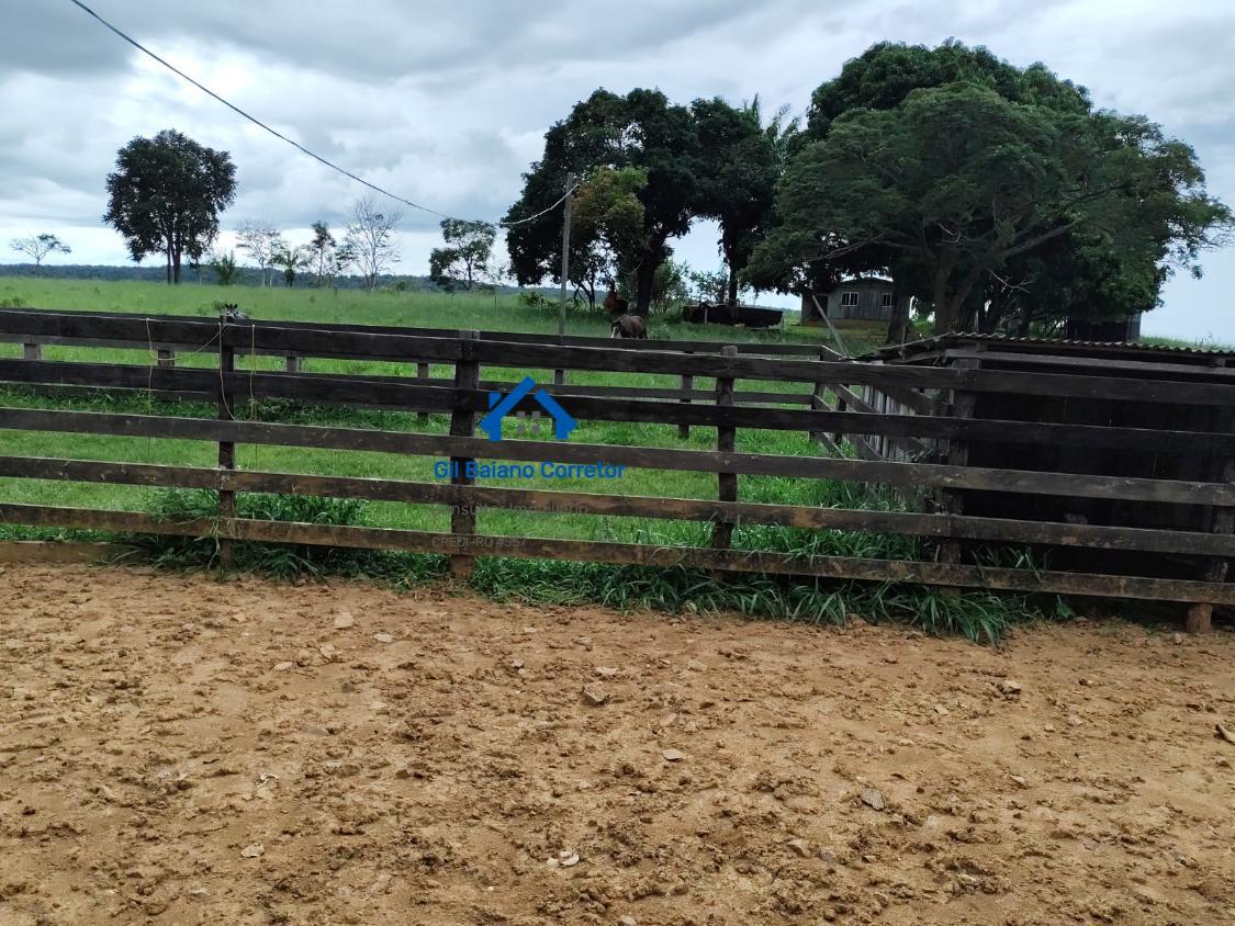 Fazenda à venda com 2 quartos - Foto 20