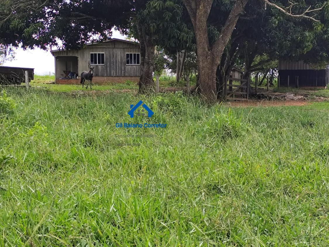 Fazenda à venda com 2 quartos - Foto 14