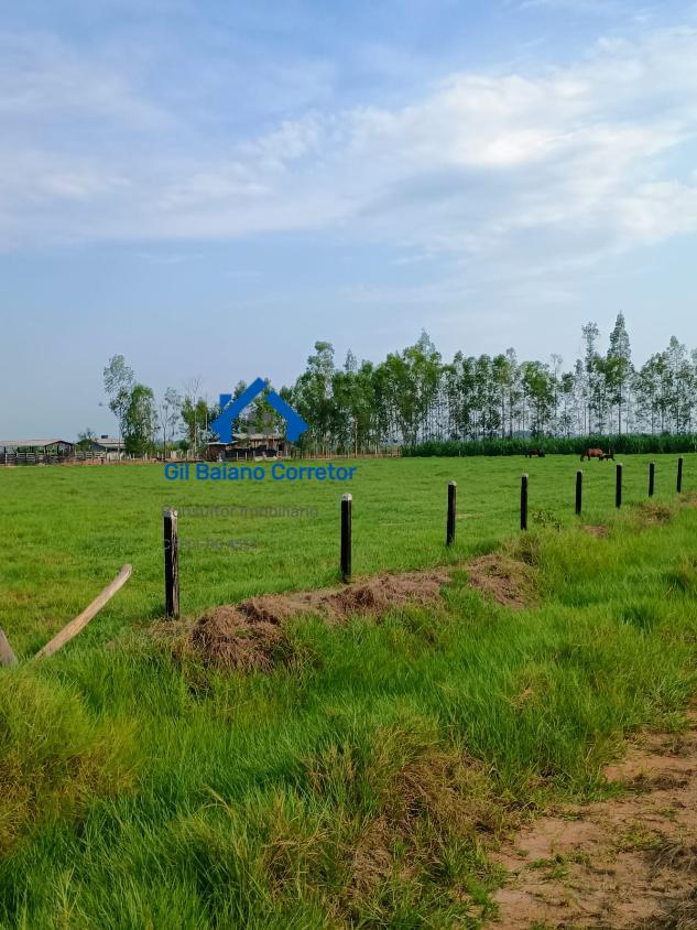 Fazenda à venda com 1 quarto - Foto 5