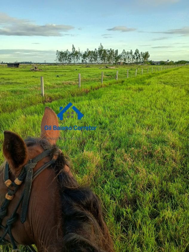 Fazenda à venda com 1 quarto - Foto 1