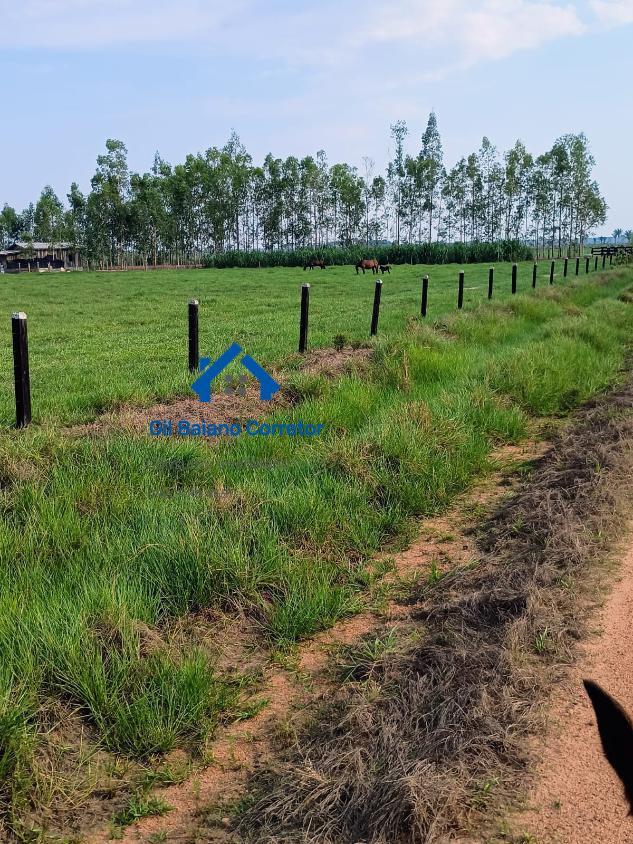 Fazenda à venda com 1 quarto - Foto 7