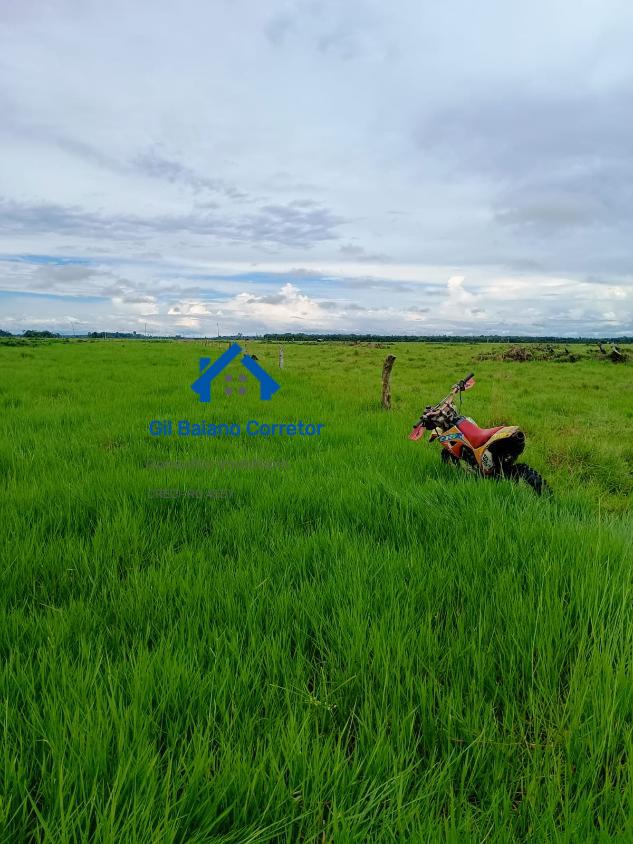 Fazenda à venda com 1 quarto - Foto 2