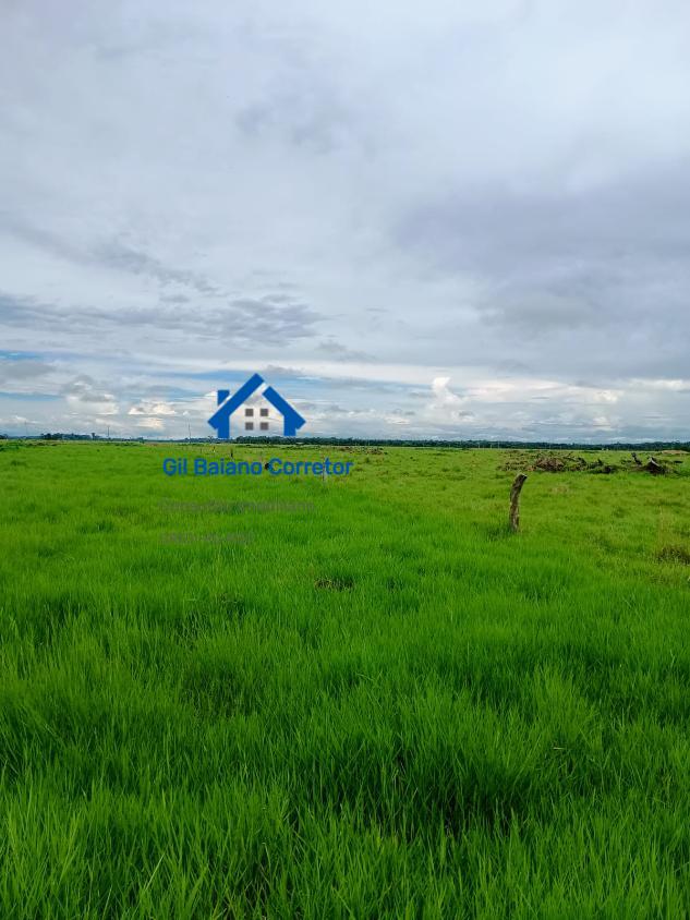 Fazenda à venda com 1 quarto - Foto 11