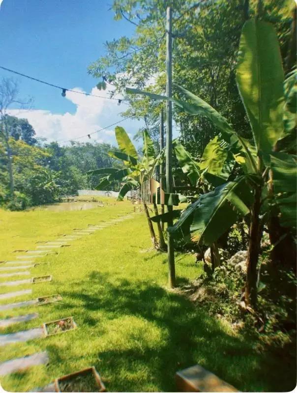 Chácara à venda com 2 quartos, 3800m² - Foto 10