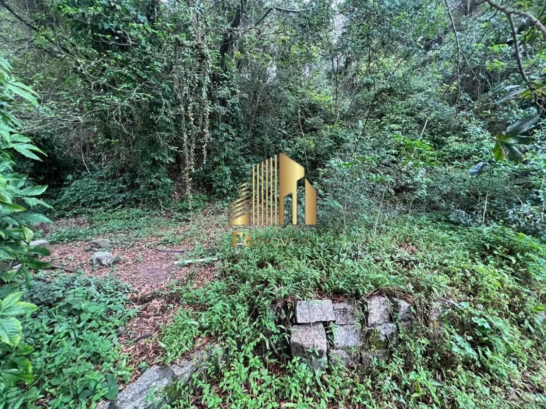 Casa à venda com 4 quartos, 241m² - Foto 30