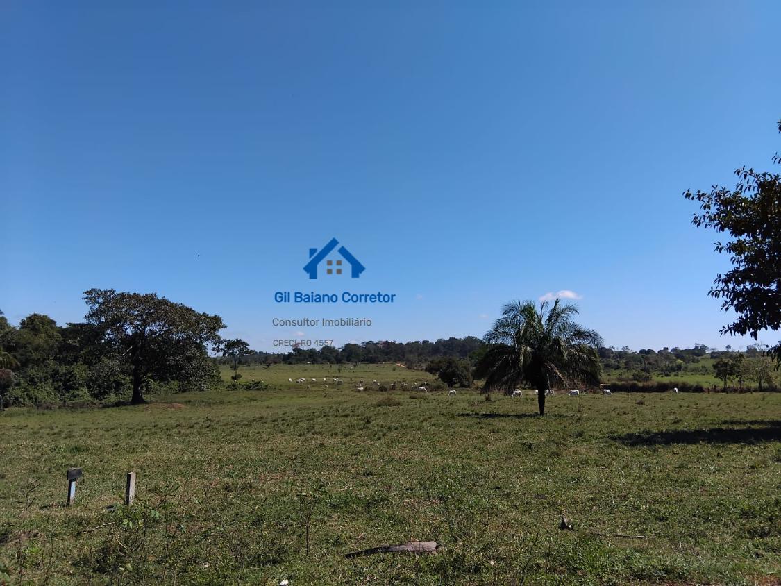 Fazenda à venda com 1 quarto - Foto 10