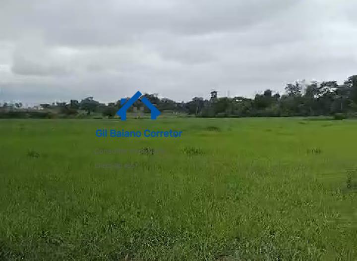 Fazenda à venda com 1 quarto - Foto 7